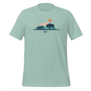 Badlands Buffalo Encounter